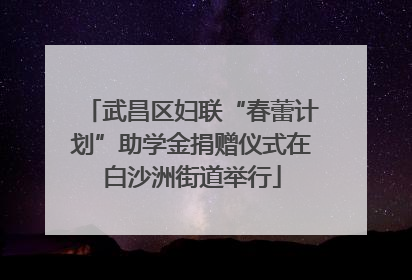 武昌区妇联“春蕾计划”助学金捐赠仪式在白沙洲街道举行