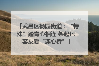 武昌区杨园街道：“特殊”踏青心相连 架起包容友爱“连心桥”