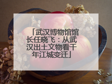 武汉博物馆馆长任晓飞：从武汉出土文物看千年江城变迁