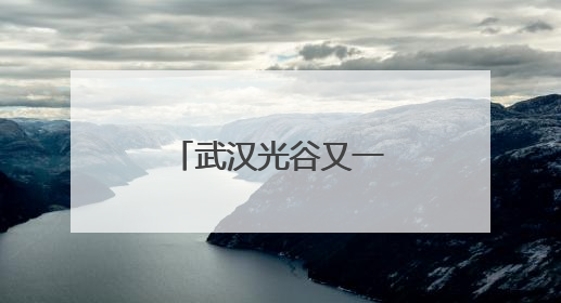 武汉光谷又一个合作办学“十年之约”收官