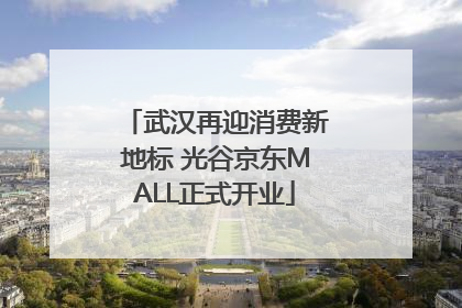武汉再迎消费新地标 光谷京东MALL正式开业