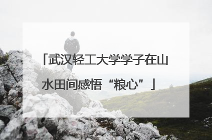 武汉轻工大学学子在山水田间感悟“粮心”