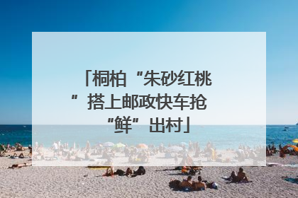 桐柏“朱砂红桃”搭上邮政快车抢“鲜”出村