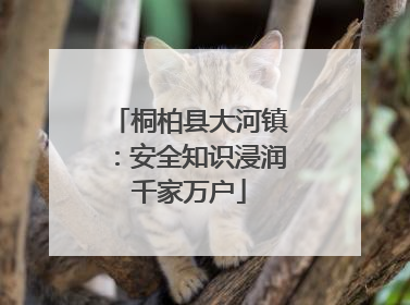 桐柏县大河镇：安全知识浸润千家万户