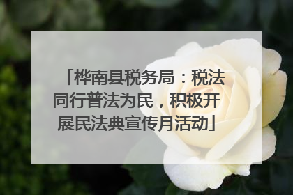 桦南县税务局：税法同行普法为民，积极开展民法典宣传月活动