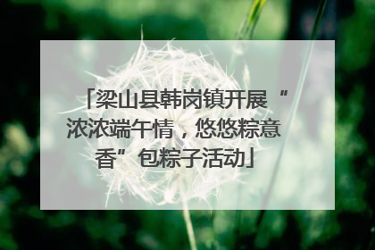 梁山县韩岗镇开展“浓浓端午情，悠悠粽意香”包粽子活动