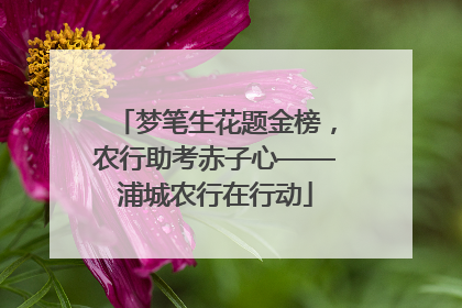 梦笔生花题金榜，农行助考赤子心——浦城农行在行动