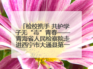 检校携手 共护学子无“毒”青春——青海省人民检察院走进西宁市大通县第一完全中学开展禁毒宣传侧记