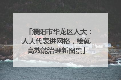 濮阳市华龙区人大：人大代表进网格，绘就高效能治理新图景