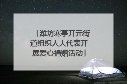 潍坊寒亭开元街道组织人大代表开展爱心捐赠活动