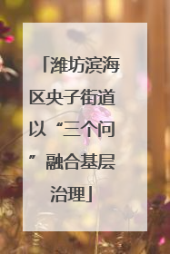 潍坊滨海区央子街道以“三个问”融合基层治理