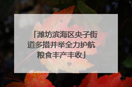 潍坊滨海区央子街道多措并举全力护航粮食丰产丰收