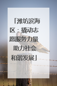 潍坊滨海区：撬动志愿服务力量 助力社会和谐发展