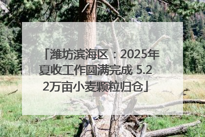 潍坊滨海区：2025年夏收工作圆满完成 5.22万亩小麦颗粒归仓