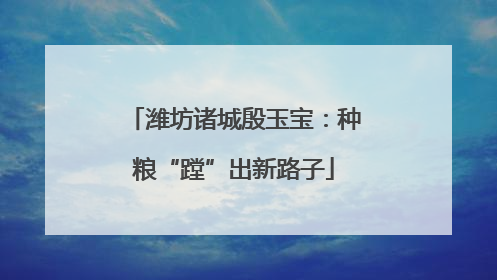 潍坊诸城殷玉宝：种粮“蹚”出新路子