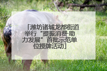 潍坊诸城龙都街道举行“提振消费·助力发展”首批示范单位授牌活动