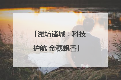 潍坊诸城：科技护航 金穗飘香