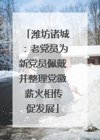 潍坊诸城：老党员为新党员佩戴并整理党徽 薪火相传促发展
