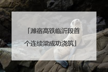 潍宿高铁临沂段首个连续梁成功浇筑