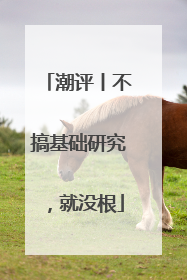 潮评丨不搞基础研究，就没根