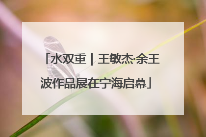 水双重｜王敏杰·余王波作品展在宁海启幕