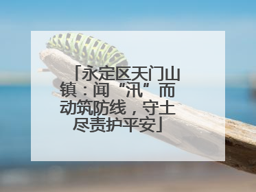 永定区天门山镇：闻“汛”而动筑防线，守土尽责护平安