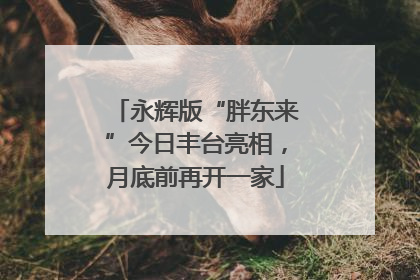 永辉版“胖东来”今日丰台亮相，月底前再开一家