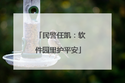 民警任凯：软件园里护平安