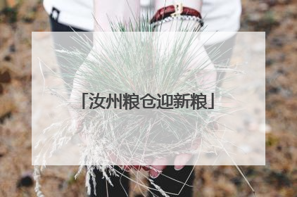 汝州粮仓迎新粮