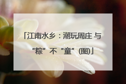 江南水乡：潮玩周庄 与“粽”不“童”(图)
