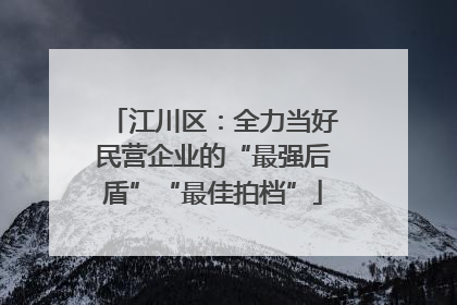 江川区：全力当好民营企业的“最强后盾”“最佳拍档”