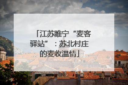 江苏睢宁“麦客驿站”：苏北村庄的麦收温情