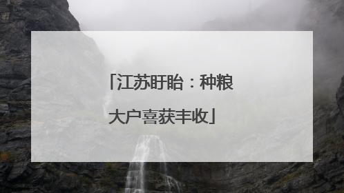 江苏盱眙：种粮大户喜获丰收