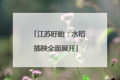 江苏盱眙：水稻插秧全面展开