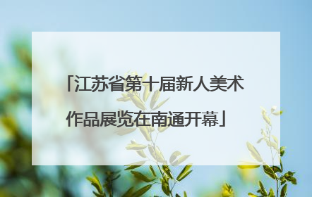江苏省第十届新人美术作品展览在南通开幕