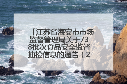 江苏省海安市市场监督管理局关于738批次食品安全监督抽检信息的通告（2025年第4期）