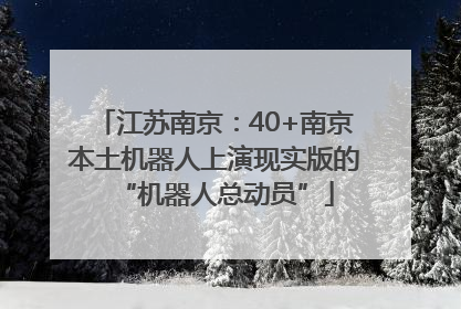 江苏南京：40+南京本土机器人上演现实版的“机器人总动员”