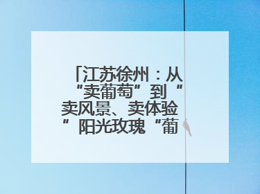 江苏徐州：从“卖葡萄”到“卖风景、卖体验”阳光玫瑰“葡”就致富路