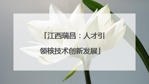 江西瑞昌：人才引领核技术创新发展