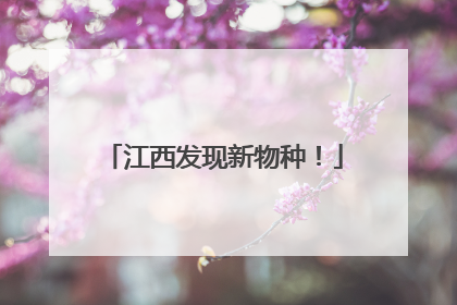 江西发现新物种！