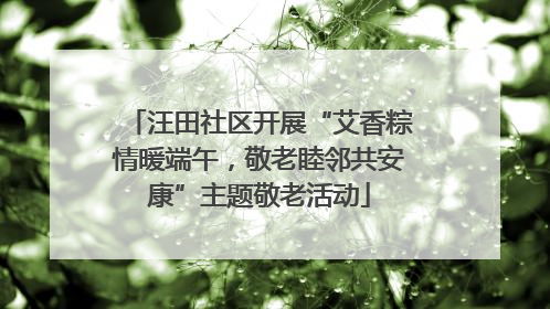 汪田社区开展“艾香粽情暖端午，敬老睦邻共安康”主题敬老活动