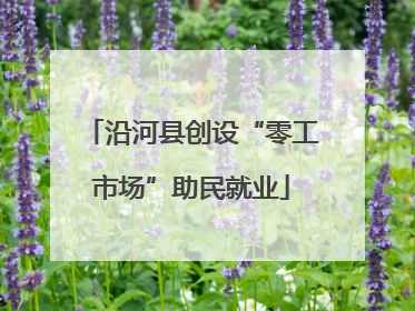沿河县创设“零工市场”助民就业
