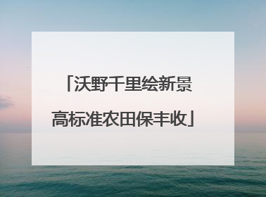 沃野千里绘新景 高标准农田保丰收