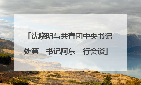 沈晓明与共青团中央书记处第一书记阿东一行会谈