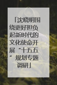 沈晓明围绕更好担负起新时代的文化使命开展“十五五”规划专题调研