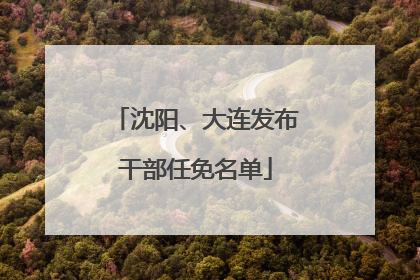 沈阳、大连发布干部任免名单