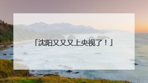 沈阳又又又上央视了！