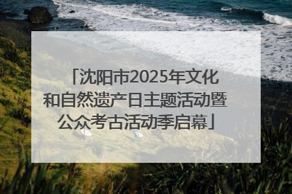 沈阳市2025年文化和自然遗产日主题活动暨公众考古活动季启幕