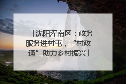 沈阳浑南区：政务服务进村屯，“村政通”助力乡村振兴