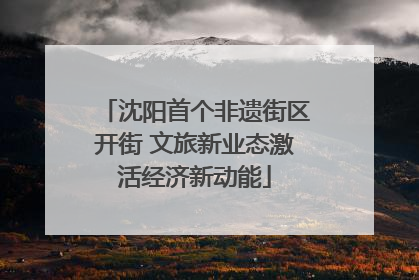 沈阳首个非遗街区开街 文旅新业态激活经济新动能
